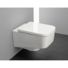Унитаз подвесной LAUFEN PRO S RIMLESS 8.2096.2.000.000.1